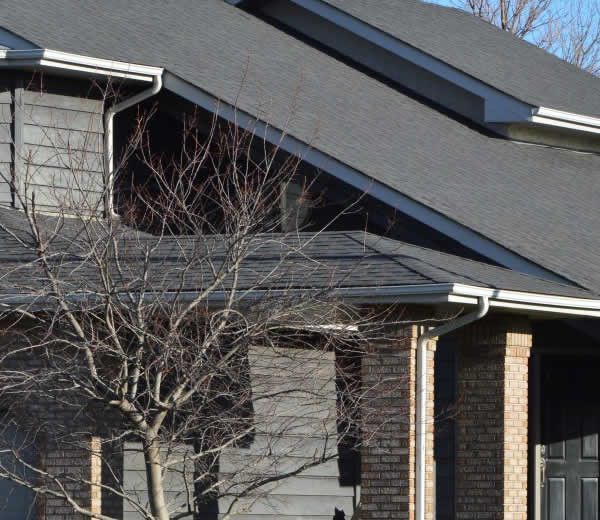 Gutter Cleaning